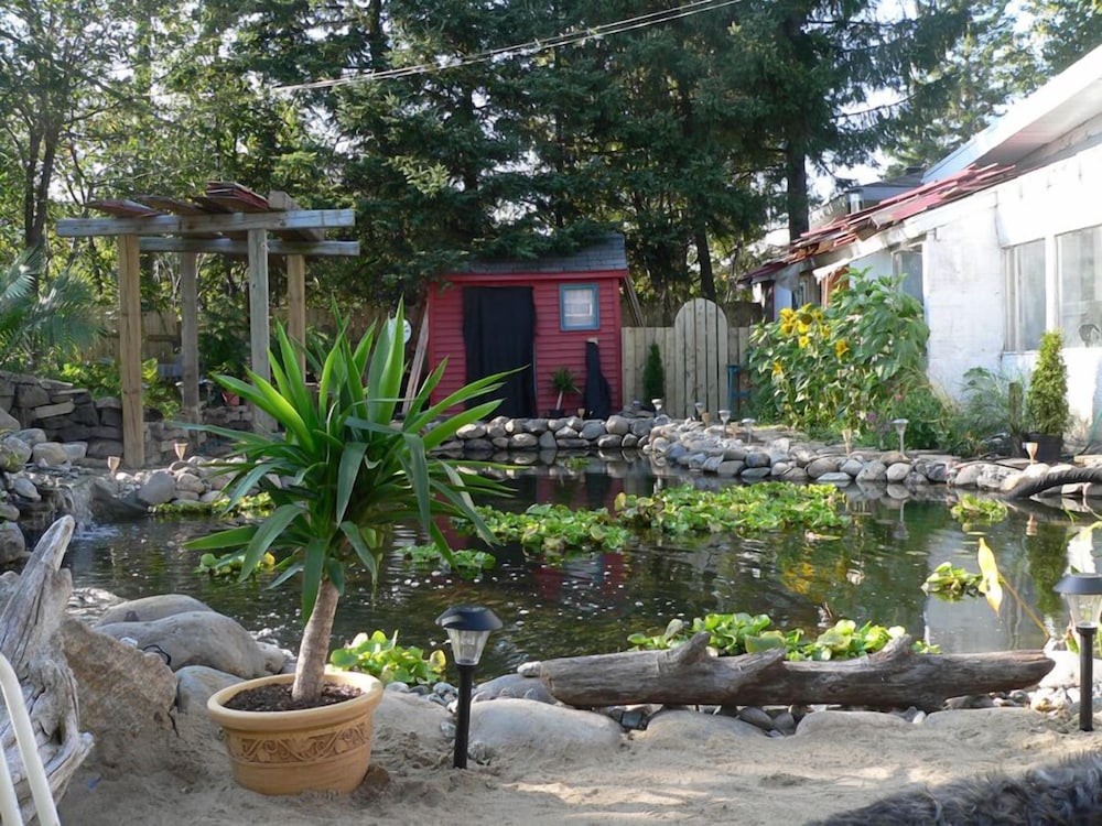 L'Oasis du Pirate B&B