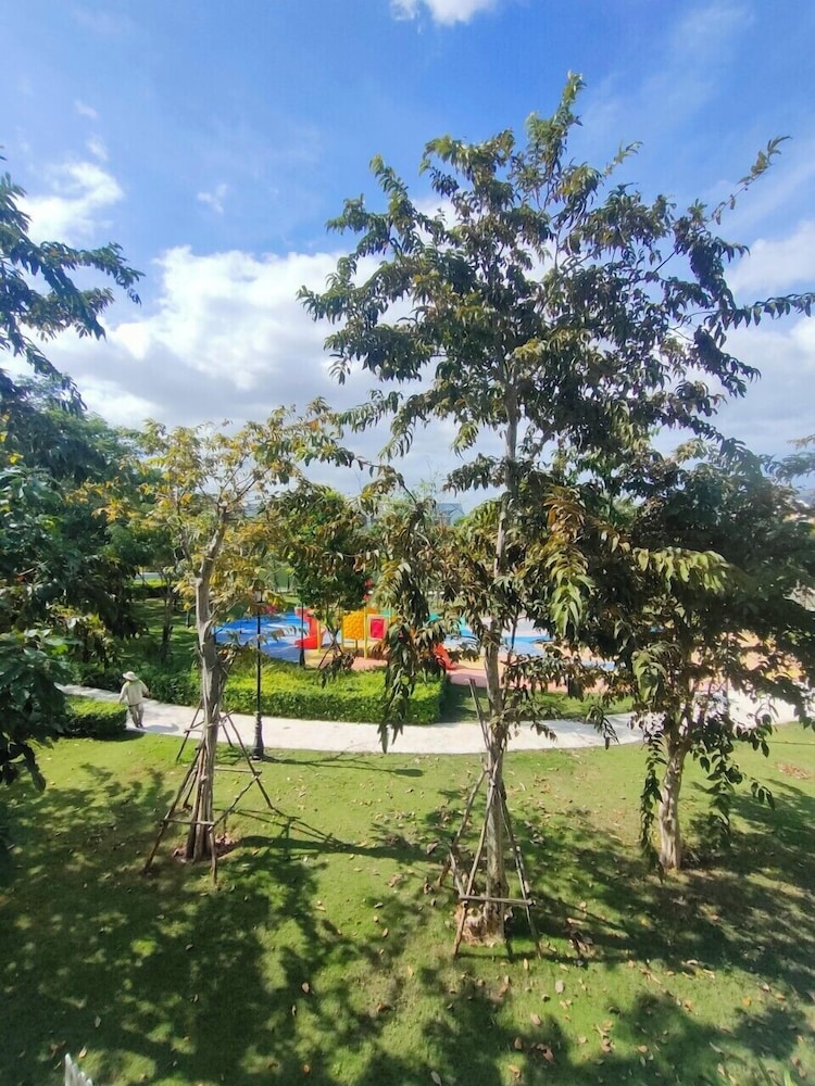 Photo 12