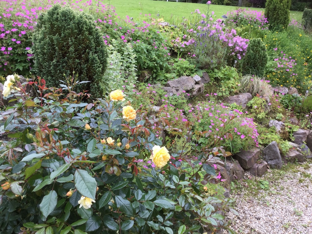 Photo 42