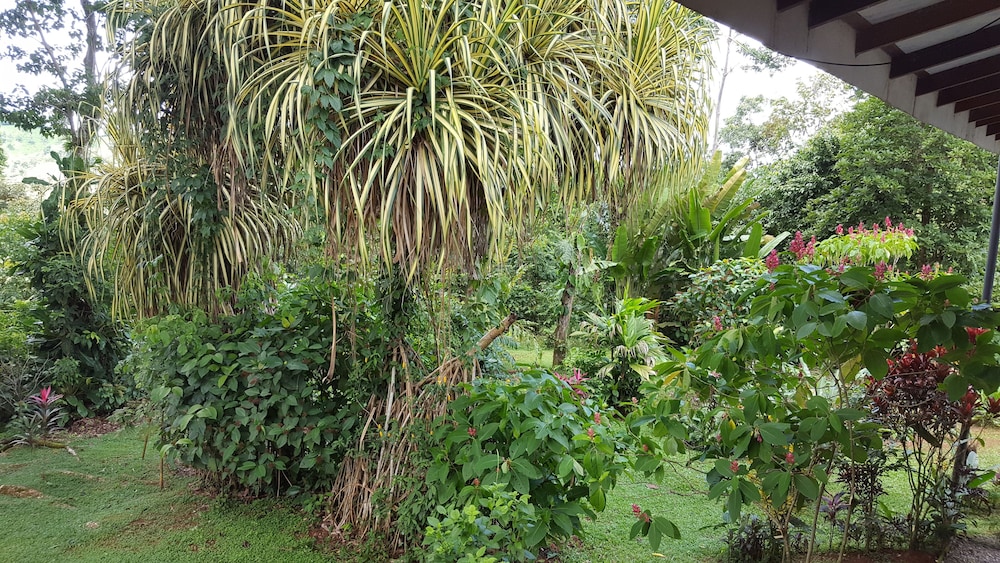 A Little Paradise