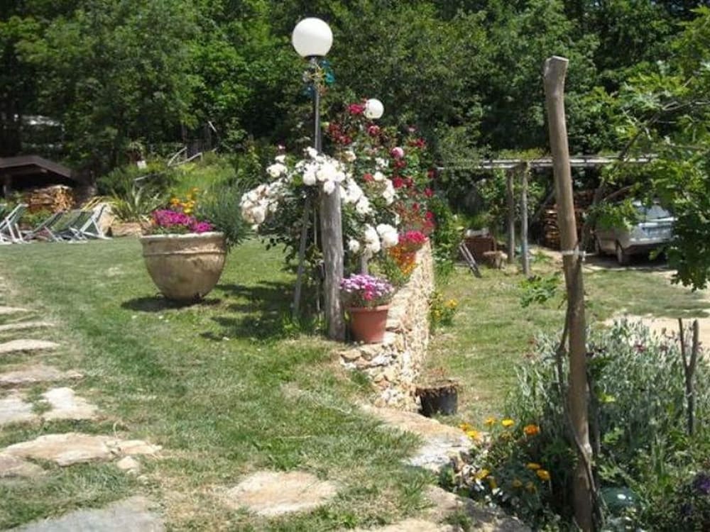 Photo 30