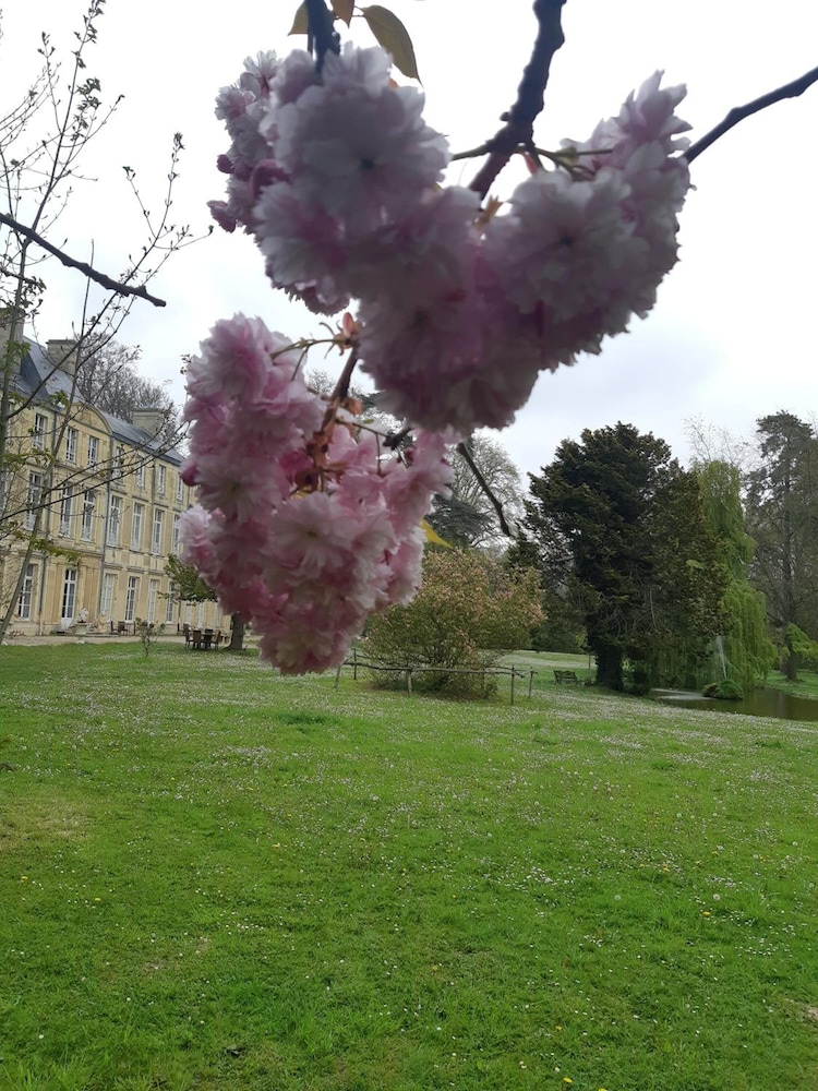 Château de Grand Tonne