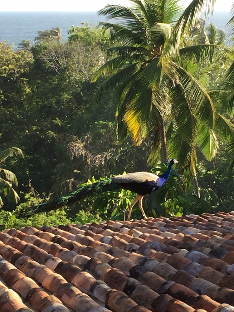 Lanka Eco Village