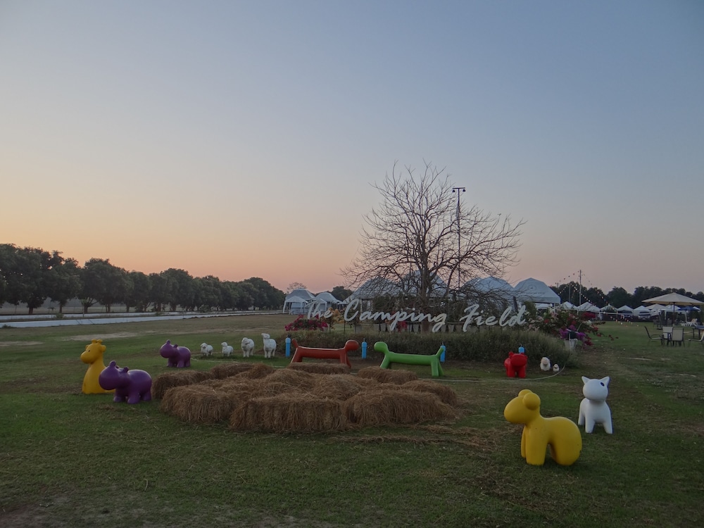 The Camping Field