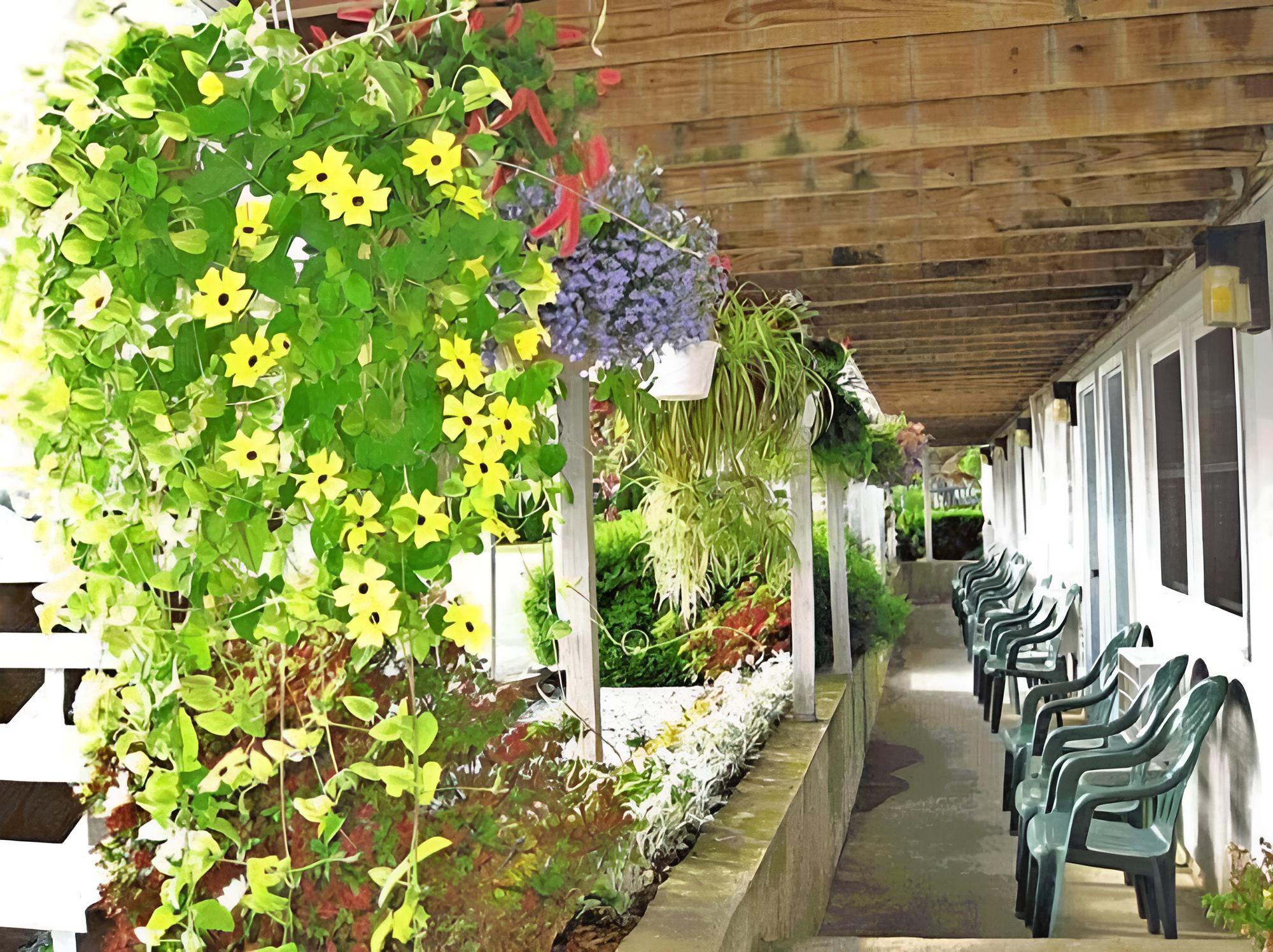 Sea Whale Motel - Property Image 29