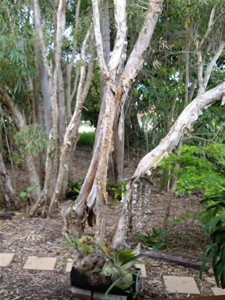 Urangan Vacations - Barooga On Pier - Property Image 11