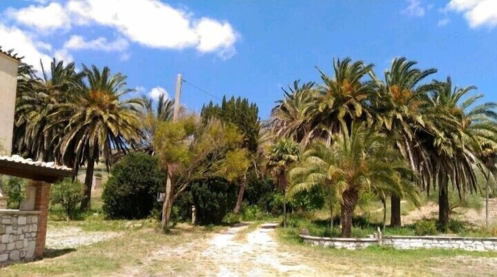 Photo 45