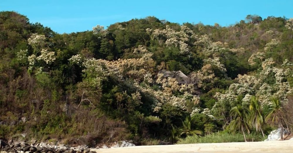 Casa Morena