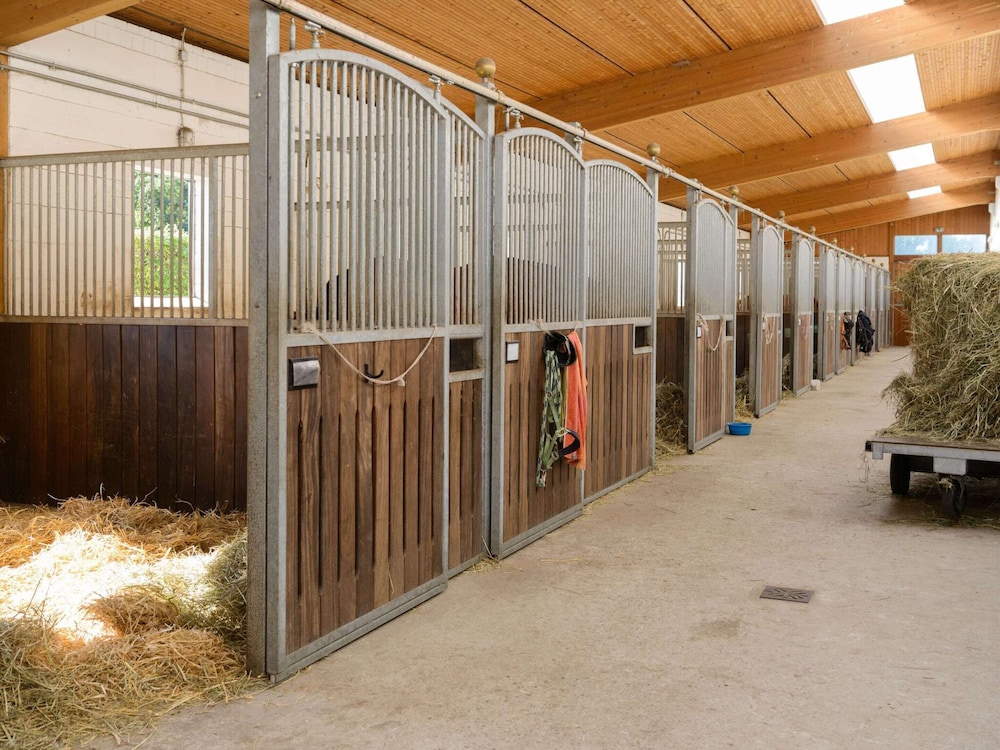Cozy Holiday Home on a Horse Farm in the Luneburg Heath - Property Image 2