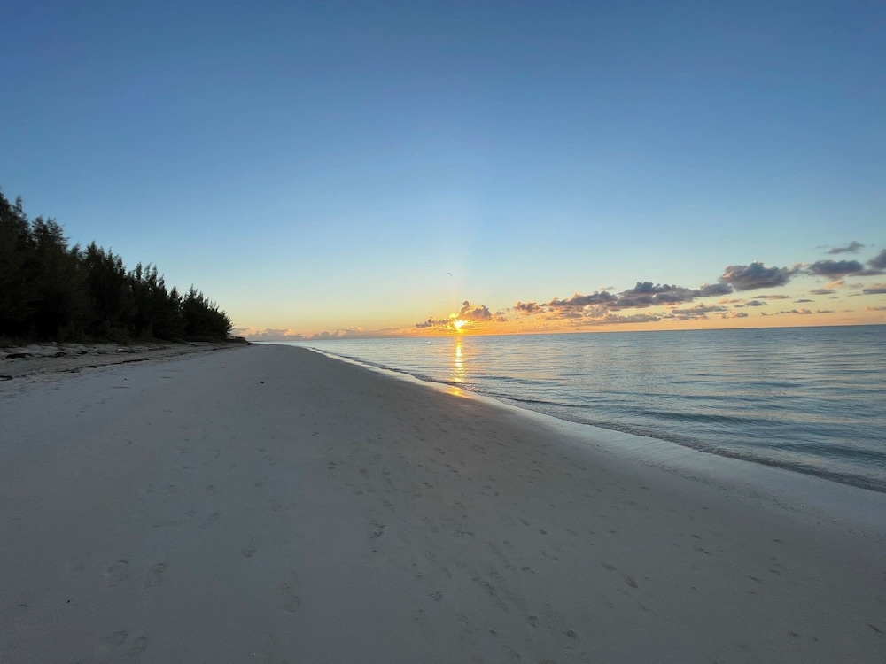 NEW Stunning Beachfront Condo at the Coral Beach