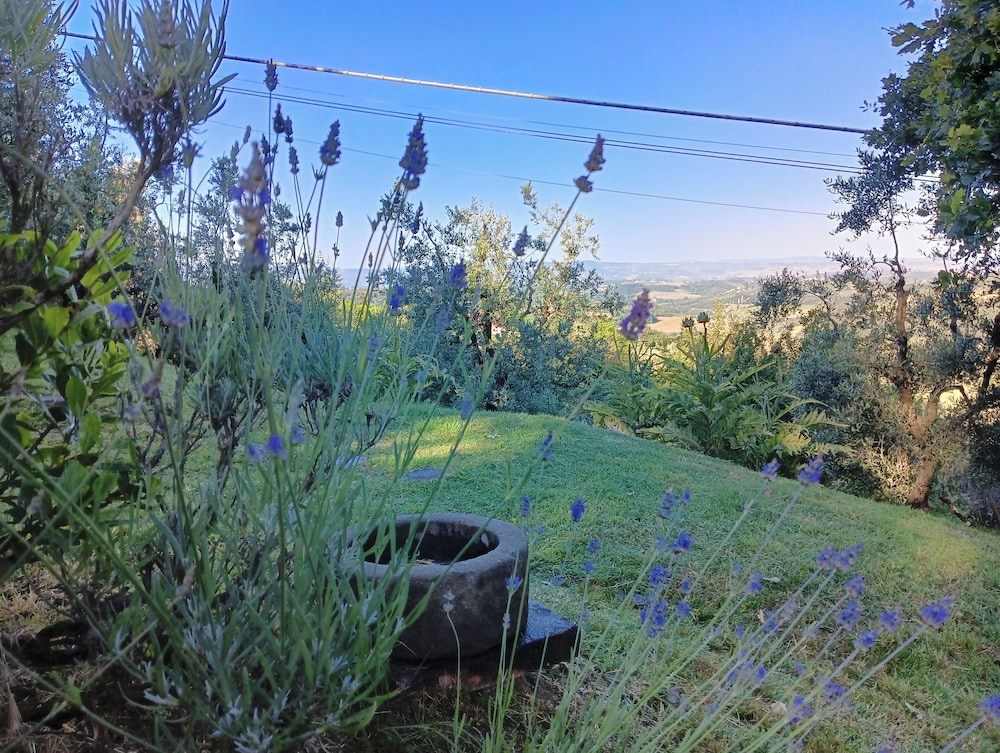 Podere Casato 2 Hills View, Pool, Wifi Tuscany