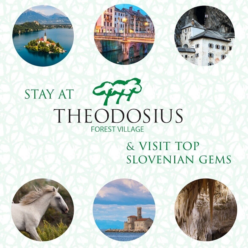 Theodosius forest village Vipava