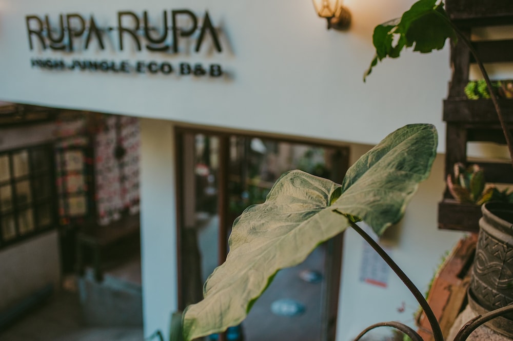 Rupa Rupa High Jungle Eco B&B view 5