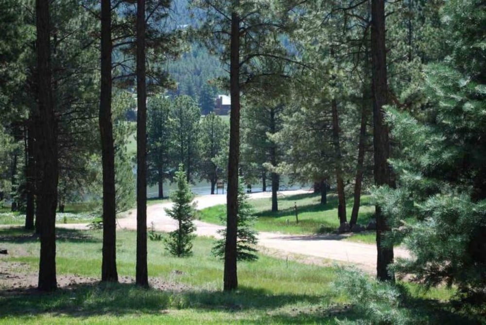 Outdoor Fire Pit, Wildlife Watching, Monte Verde Lake Ponderosa view 5