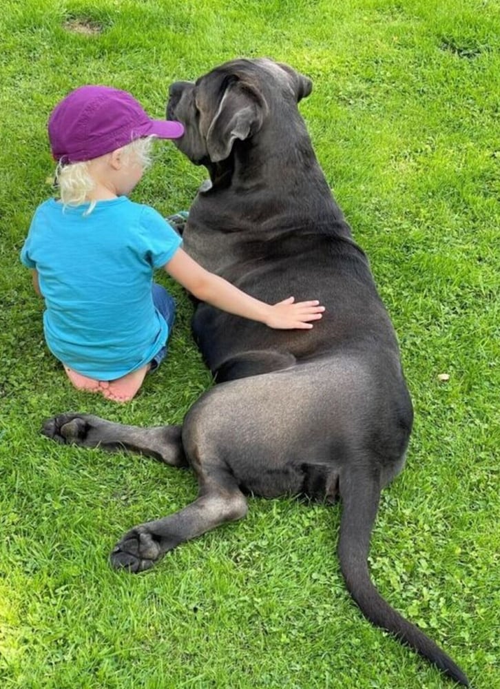 human