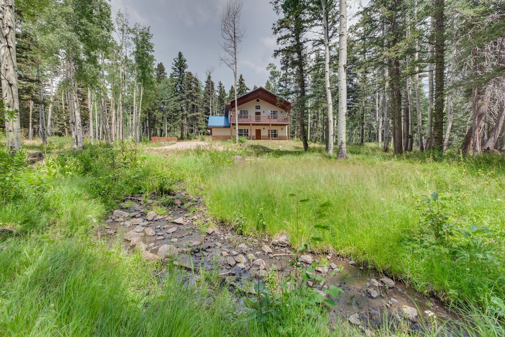 Cozy Angel Fire Vacation Rental: 4 Mi to Resort! view 3