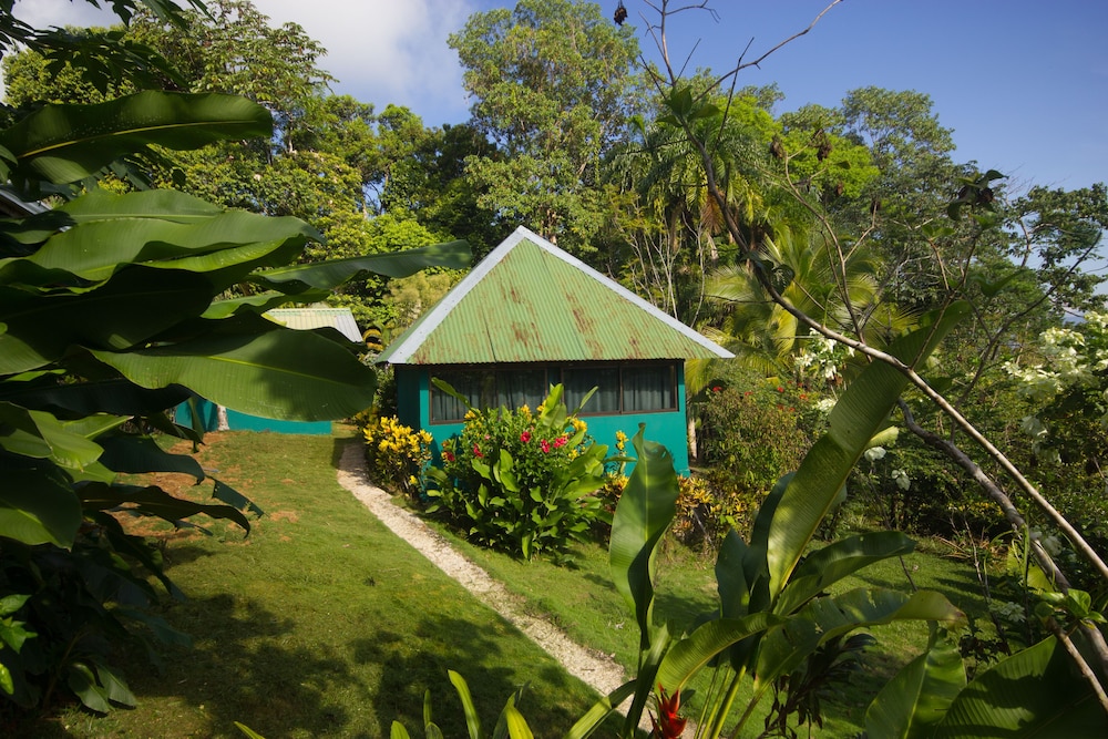 Hotel El Mirador Osa