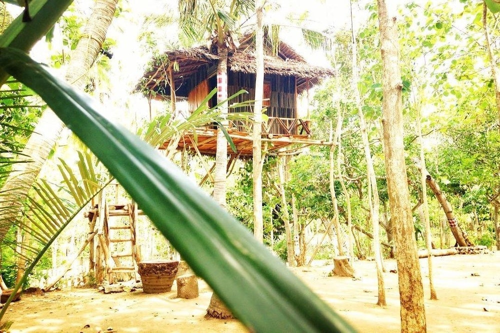 Nyuh Bengkok Tree House