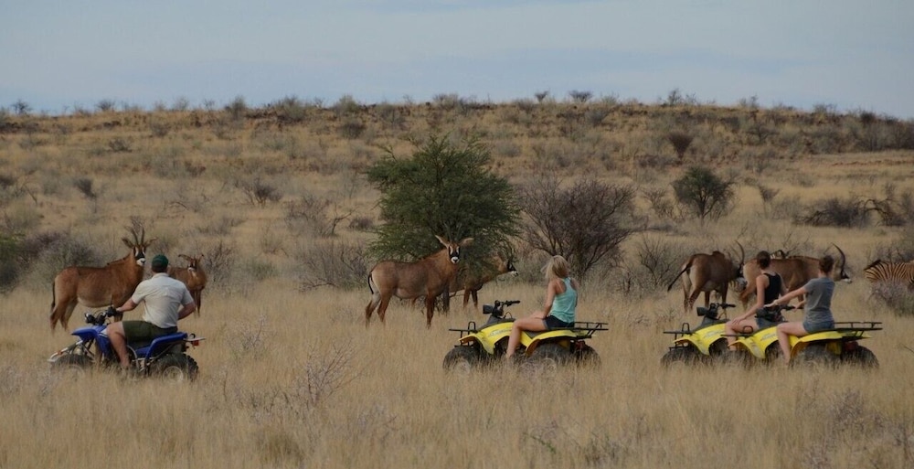 Mattanu Private Game Reserve