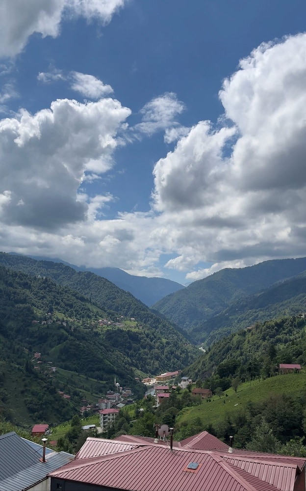 Bardi Suit Bungalov