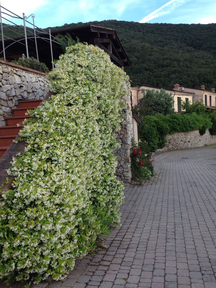 Nisportino Domus