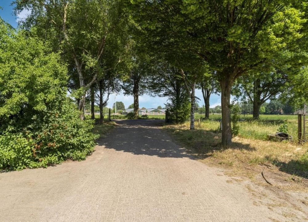 Pet-friendly Getaway, photo 29