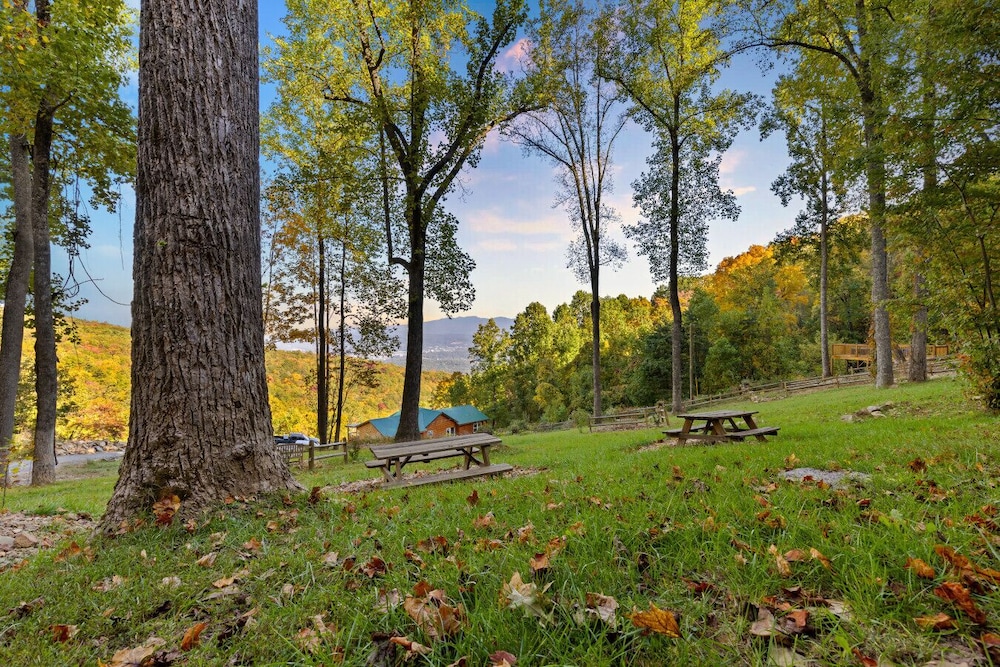 The Great Smoky Haven