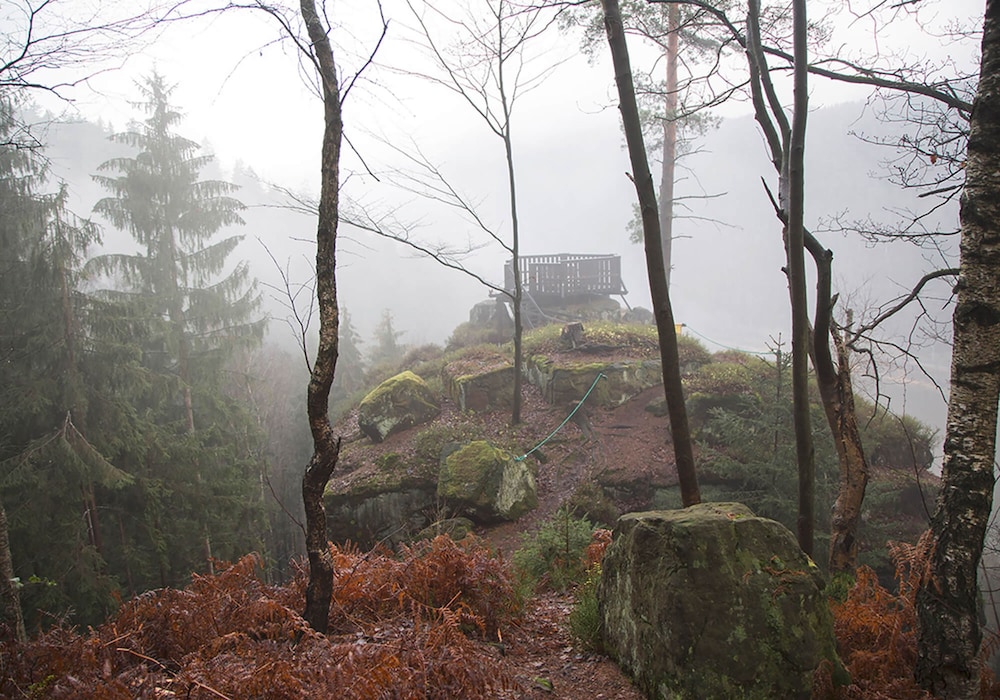 Die Burg Schöna - In a national park
