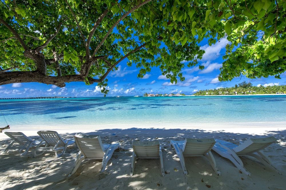 Ithaa Beach Maldives