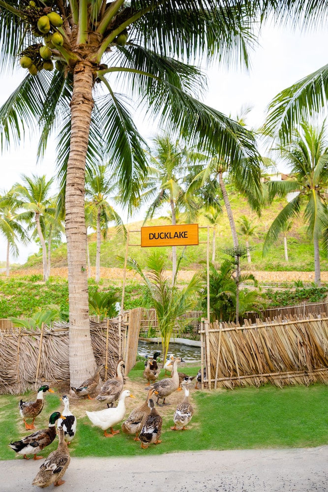 Fusion Resort Cam Ranh