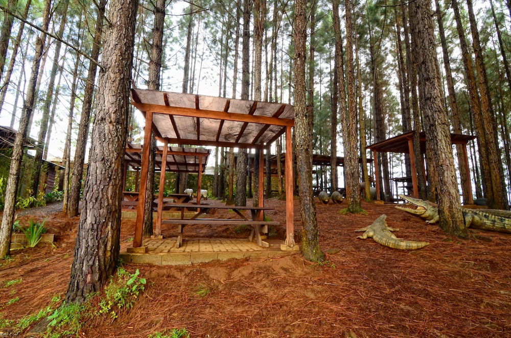 Dahilayan Forest Park Resort