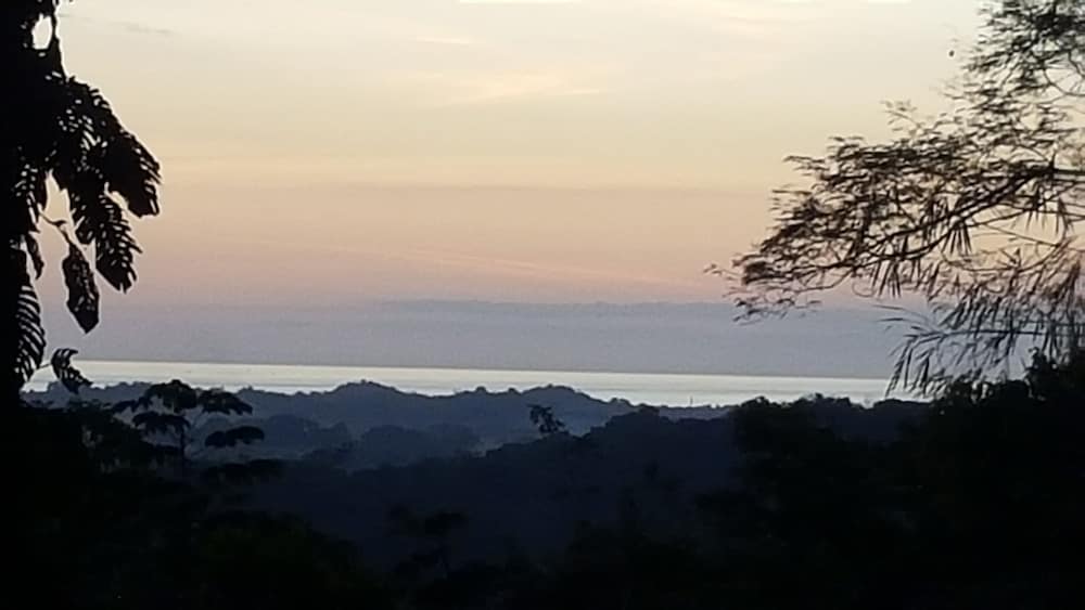 A Little Paradise