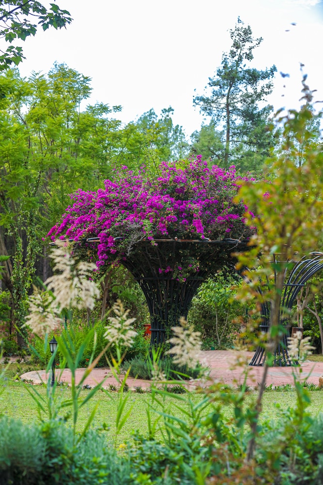 Ayka Life. Nature & Peace - All Inclusive