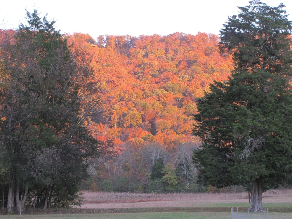 Photo 41