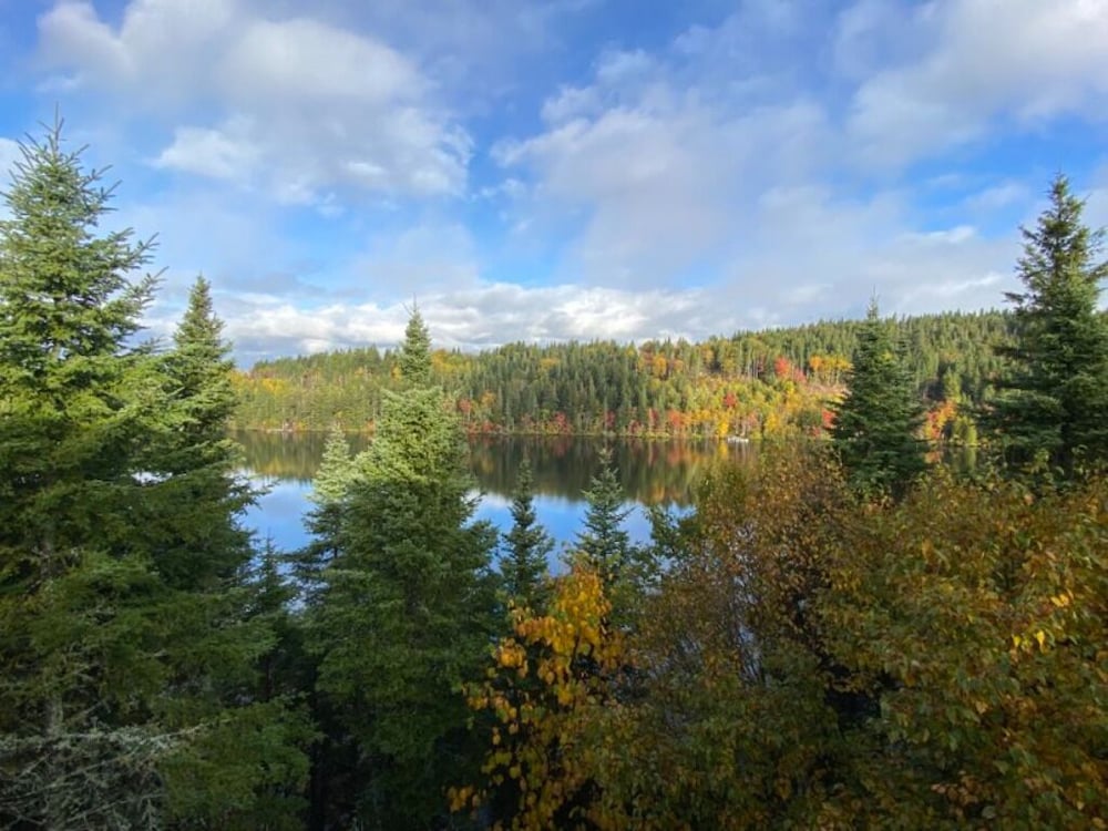 Cottage by the Lake Great Tranquility, Without Motor Boats