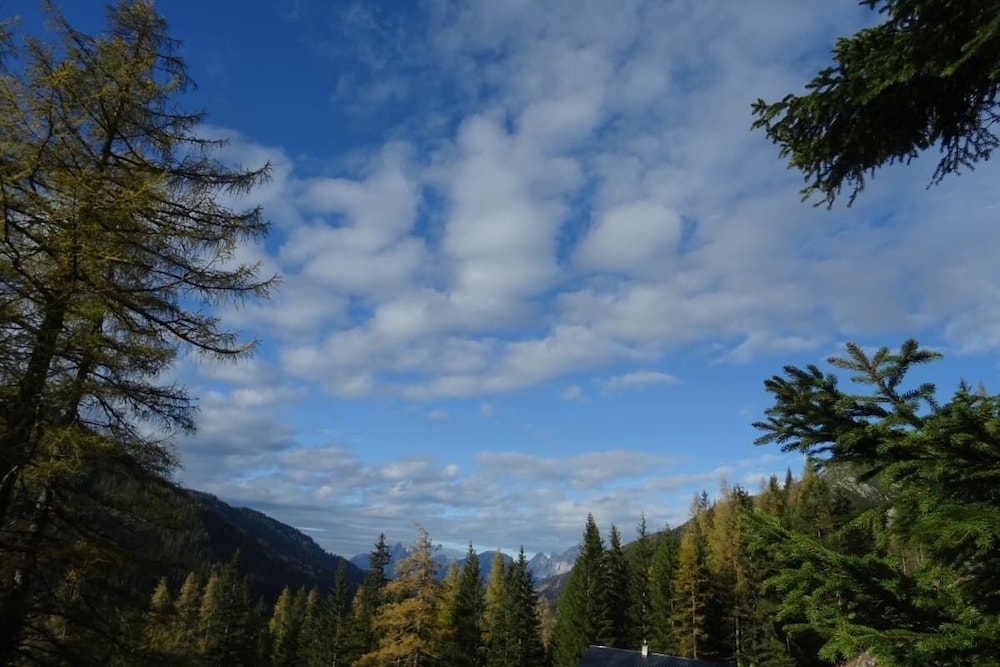 Ampferkaralm view 2