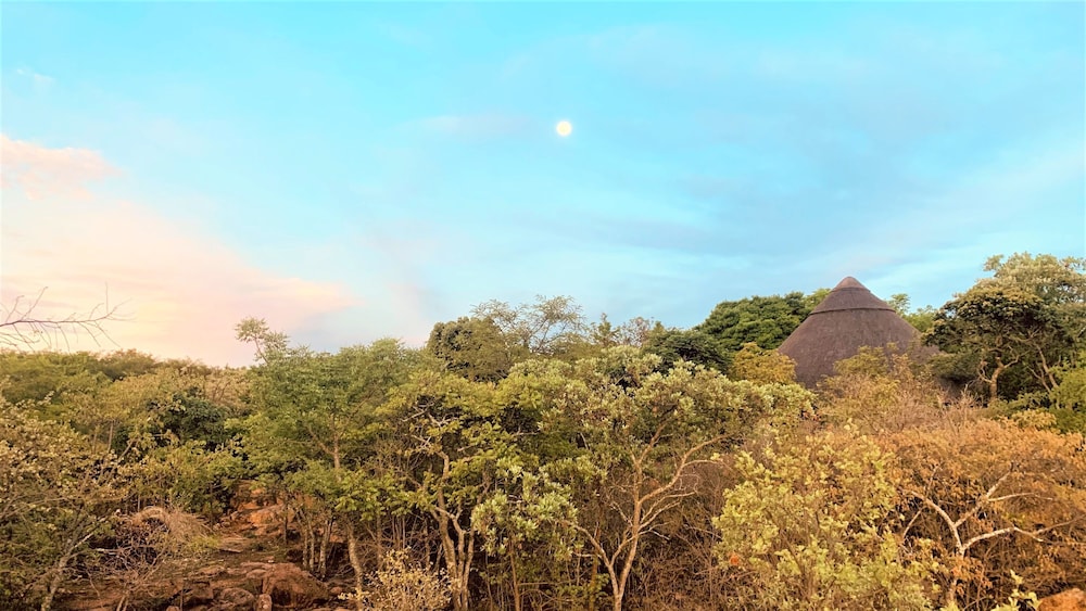 Family Lodge in Natural African Bush - 2113