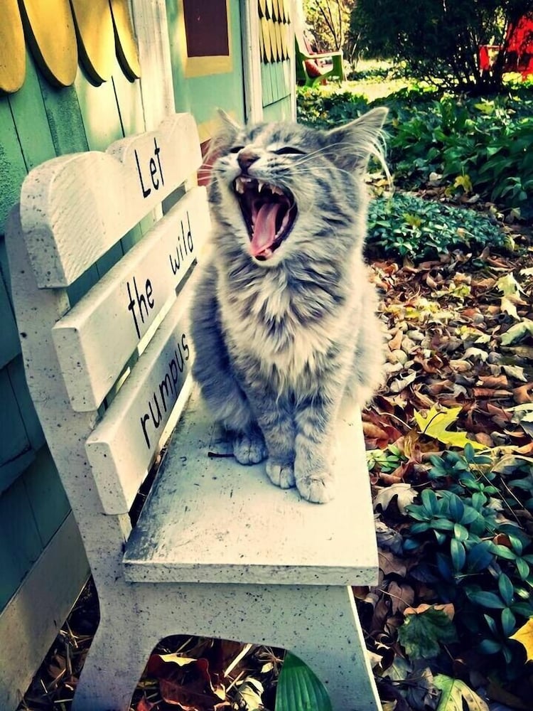 Milwaukee Vacations - Manderley Bed and Breakfast - Property Image 40