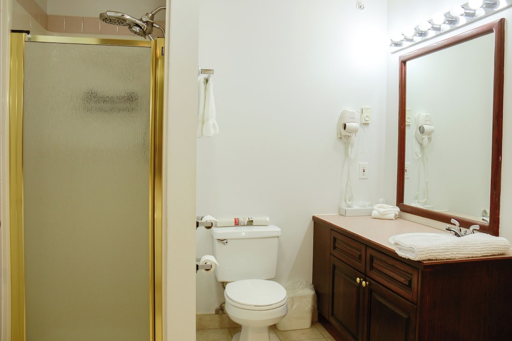 Western Budget Motel Plus Mosaic Suites