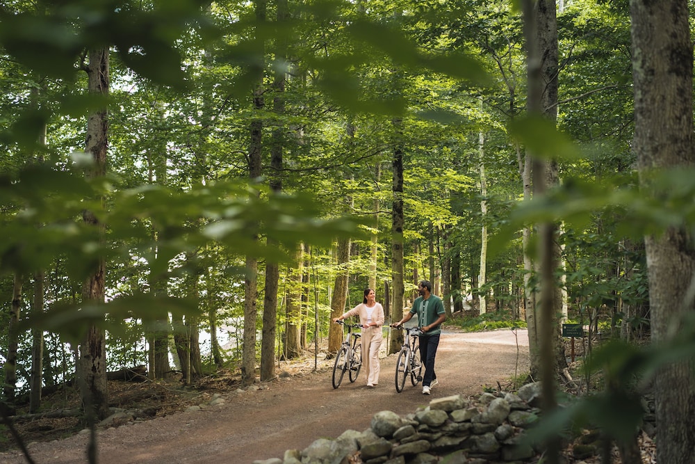The Chatwal Lodge - Property Image 91