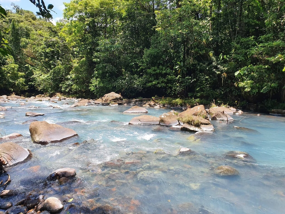 Pura Vidaville - Hiker's Hideaway
