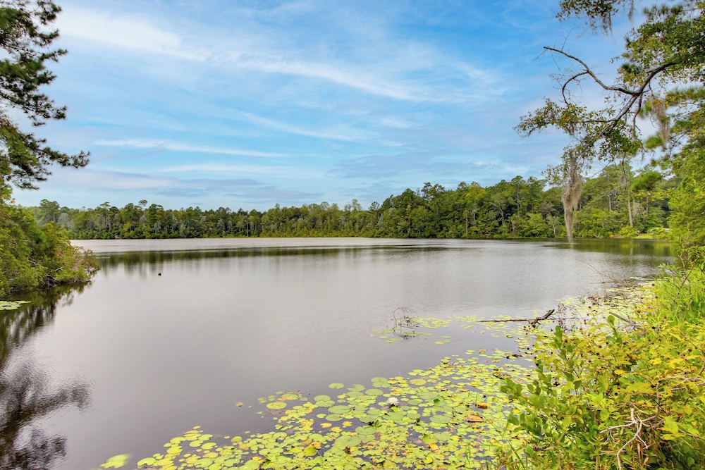 'georgia's Nature Retreat' on Old Mill Pond!