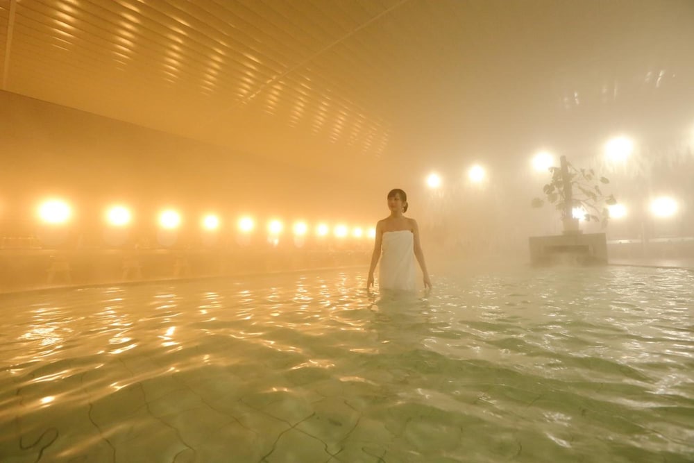 Awara Onsen Seifuso