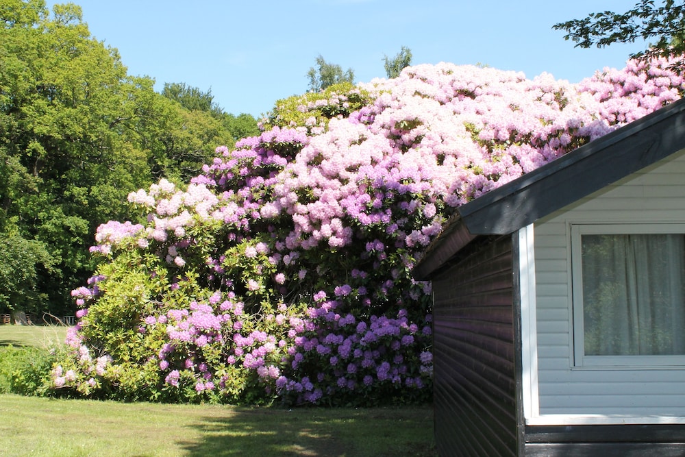 Nordsjællands Feriepark & Camping