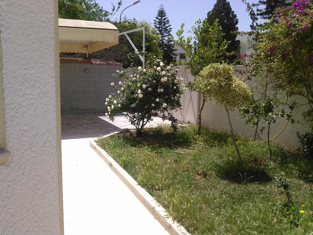 Photo 15
