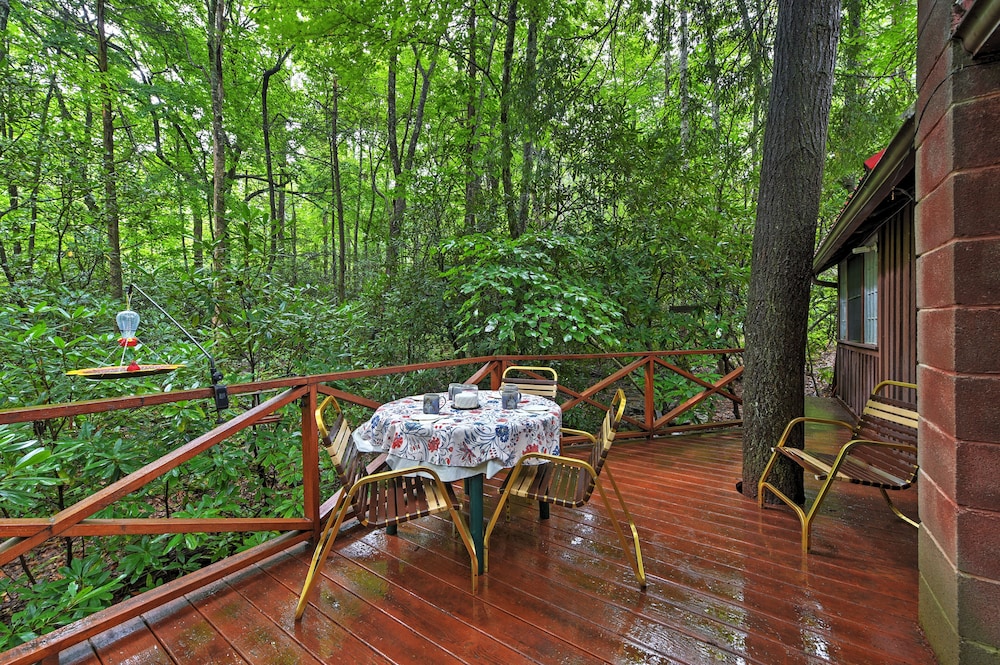 Serene Creekside Cottage Near Mount Pisgah! view 2