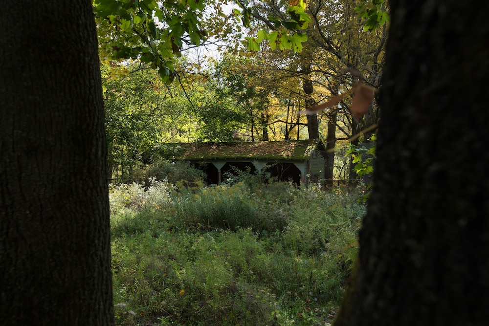 Photo 19