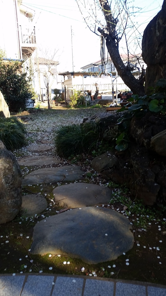 Photo 13