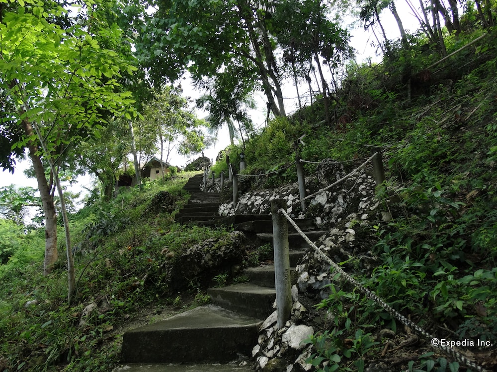 Photo 42