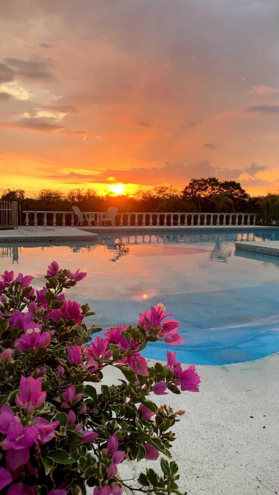 ECOPARADISE - Property Image 1